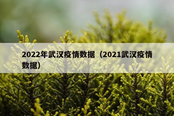 2022年武汉疫情数据（2021武汉疫情数据）