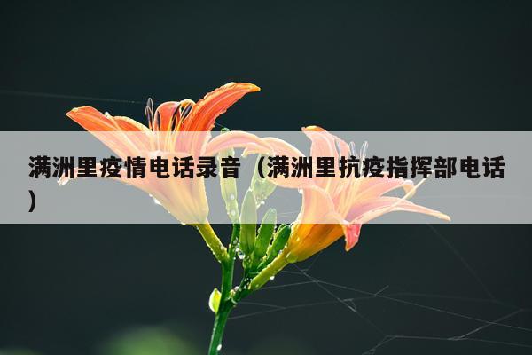 满洲里疫情电话录音（满洲里抗疫指挥部电话）