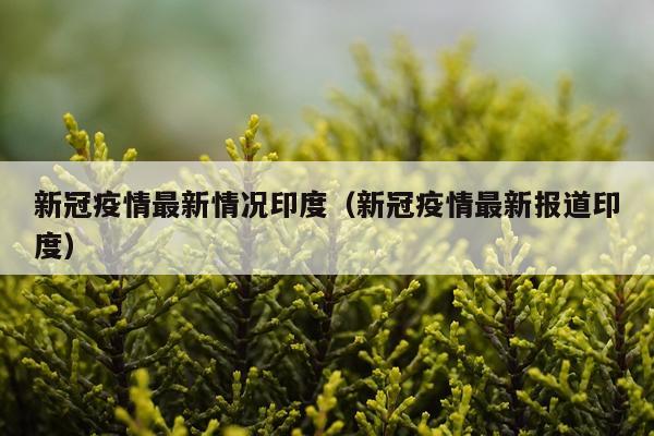 新冠疫情最新情况印度（新冠疫情最新报道印度）