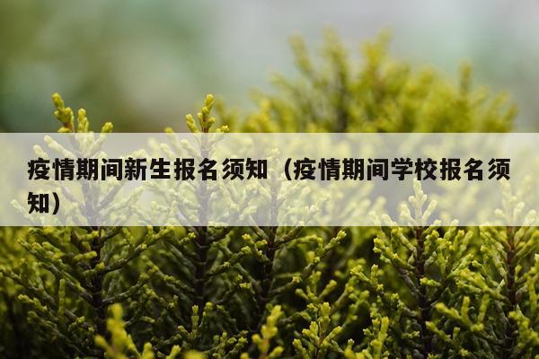 疫情期间新生报名须知（疫情期间学校报名须知）