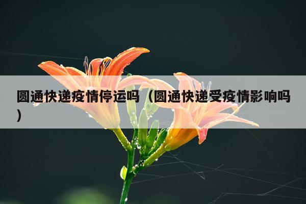 圆通快递疫情停运吗（圆通快递受疫情影响吗）