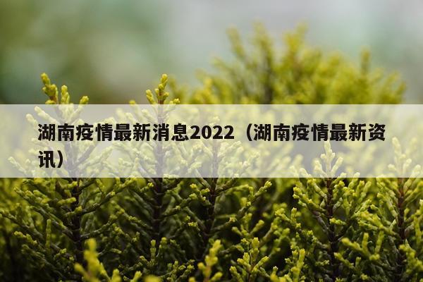 湖南疫情最新消息2022（湖南疫情最新资讯）