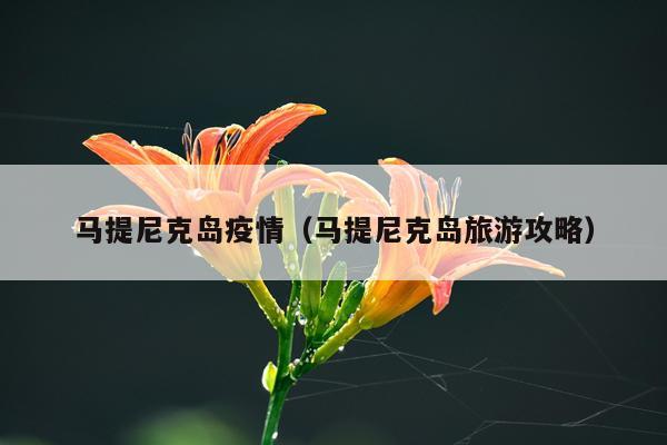 马提尼克岛疫情（马提尼克岛旅游攻略）