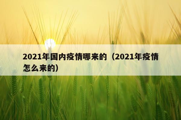 2021年国内疫情哪来的（2021年疫情怎么来的）
