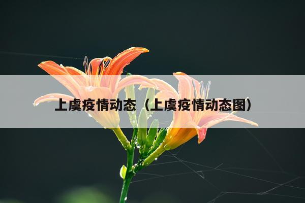 上虞疫情动态（上虞疫情动态图）
