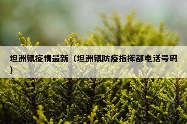坦洲镇疫情最新（坦洲镇防疫指挥部电话号码）