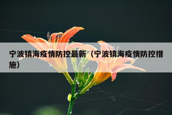 宁波镇海疫情防控最新（宁波镇海疫情防控措施）