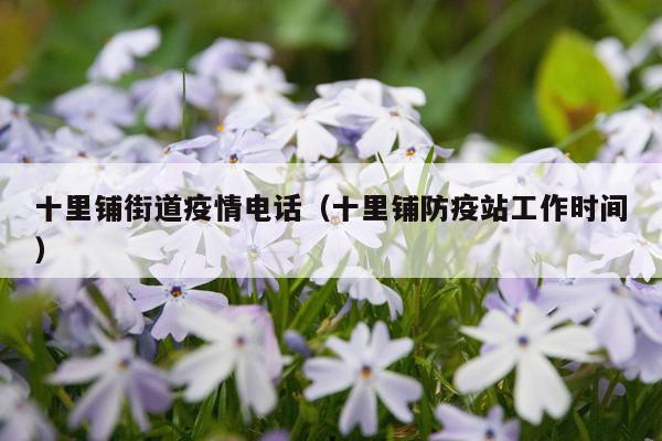 十里铺街道疫情电话（十里铺防疫站工作时间）