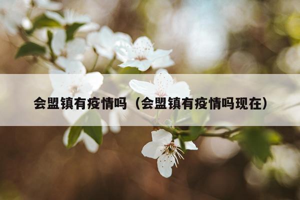 会盟镇有疫情吗（会盟镇有疫情吗现在）