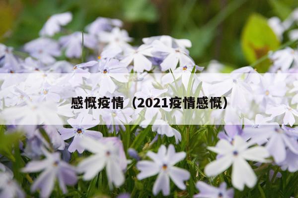 感慨疫情（2021疫情感慨）