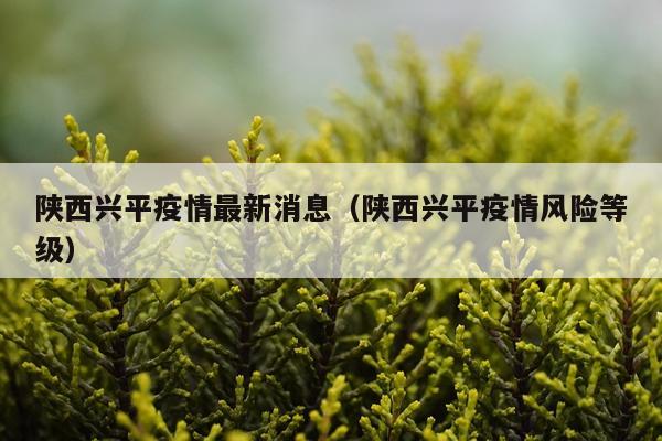 陕西兴平疫情最新消息（陕西兴平疫情风险等级）