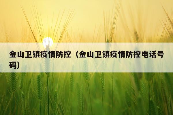 金山卫镇疫情防控（金山卫镇疫情防控电话号码）