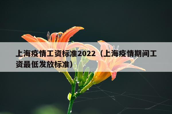 上海疫情工资标准2022（上海疫情期间工资最低发放标准）