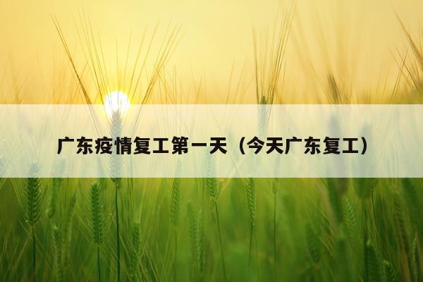 广东疫情复工第一天（今天广东复工）
