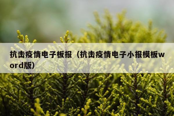 抗击疫情电子板报（抗击疫情电子小报模板word版）