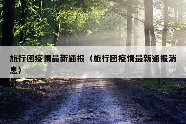 旅行团疫情最新通报（旅行团疫情最新通报消息）