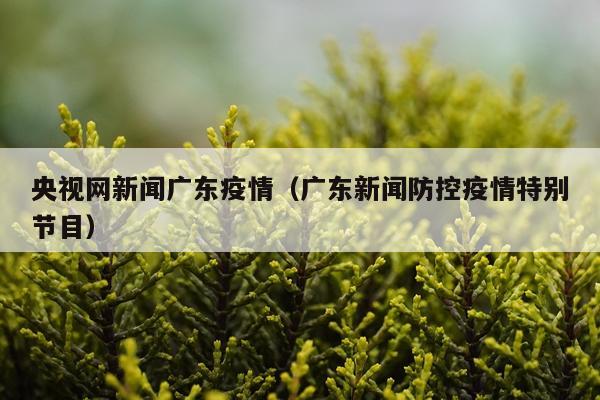 央视网新闻广东疫情（广东新闻防控疫情特别节目）