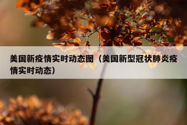 美国新疫情实时动态图（美国新型冠状肺炎疫情实时动态）
