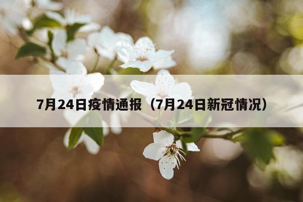 7月24日疫情通报（7月24日新冠情况）