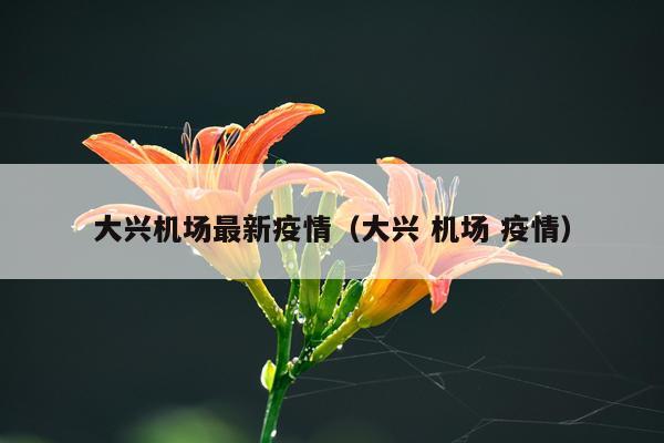 大兴机场最新疫情（大兴 机场 疫情）