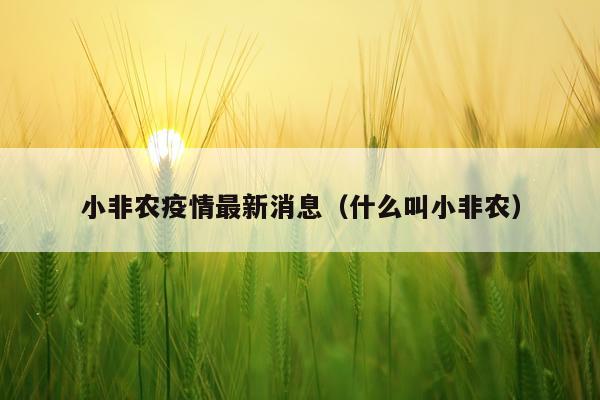 小非农疫情最新消息（什么叫小非农）