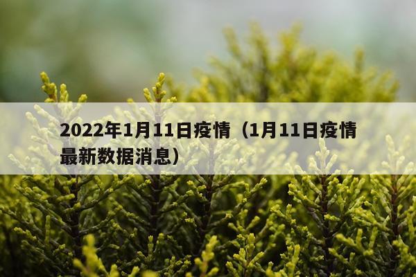 2022年1月11日疫情（1月11日疫情最新数据消息）