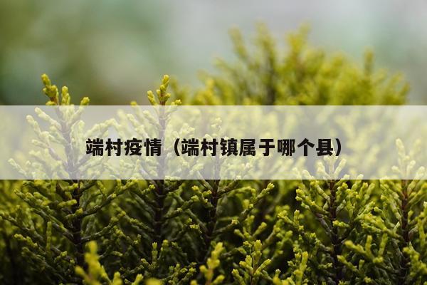 端村疫情（端村镇属于哪个县）