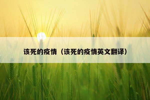 该死的疫情（该死的疫情英文翻译）
