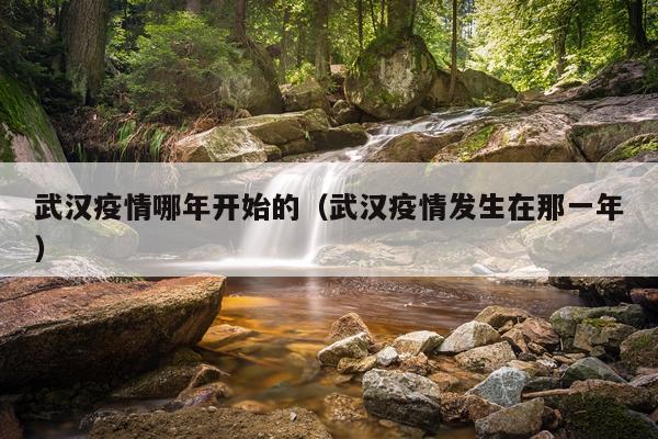 武汉疫情哪年开始的（武汉疫情发生在那一年）