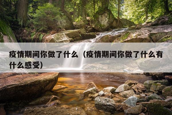 疫情期间你做了什么（疫情期间你做了什么有什么感受）