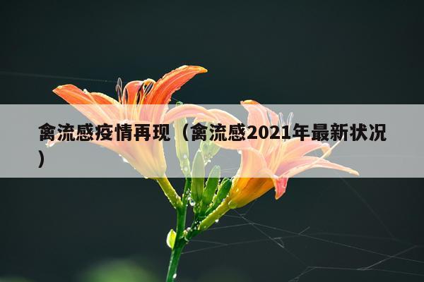 禽流感疫情再现（禽流感2021年最新状况）