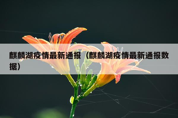 麒麟湖疫情最新通报（麒麟湖疫情最新通报数据）