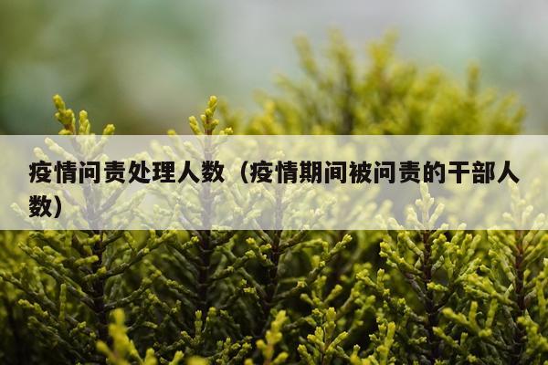 疫情问责处理人数（疫情期间被问责的干部人数）