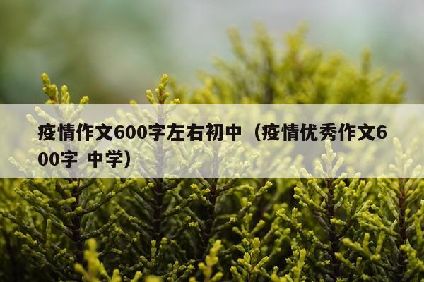 疫情作文600字左右初中（疫情优秀作文600字 中学）