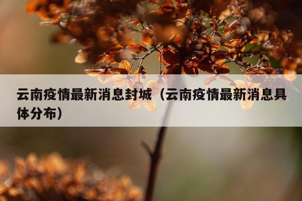 云南疫情最新消息封城（云南疫情最新消息具体分布）