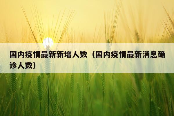 国内疫情最新新增人数（国内疫情最新消息确诊人数）