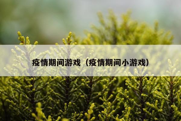 疫情期间游戏（疫情期间小游戏）
