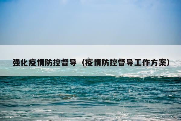 强化疫情防控督导（疫情防控督导工作方案）