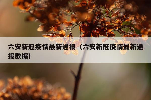 六安新冠疫情最新通报（六安新冠疫情最新通报数据）