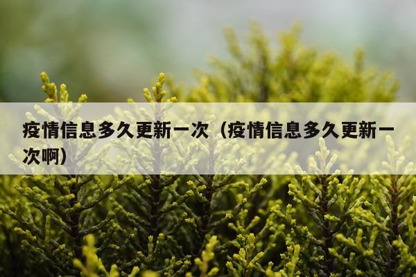 疫情信息多久更新一次（疫情信息多久更新一次啊）