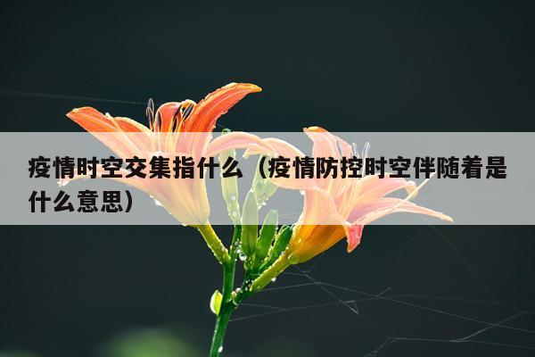 疫情时空交集指什么（疫情防控时空伴随着是什么意思）
