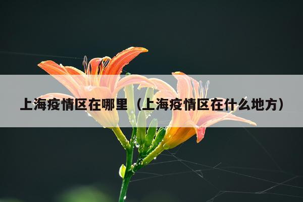 上海疫情区在哪里（上海疫情区在什么地方）