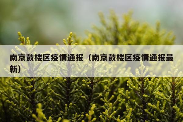 南京鼓楼区疫情通报（南京鼓楼区疫情通报最新）