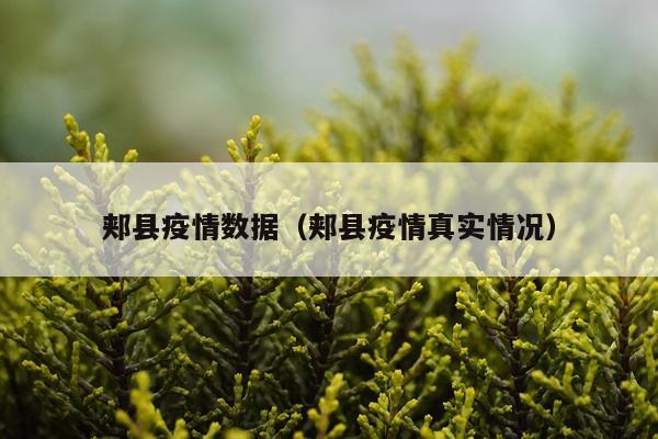 郏县疫情数据（郏县疫情真实情况）