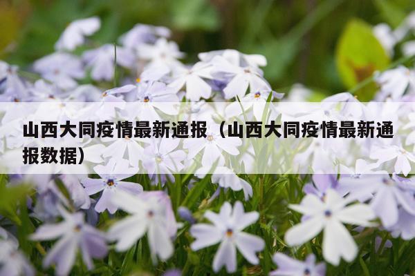 山西大同疫情最新通报（山西大同疫情最新通报数据）