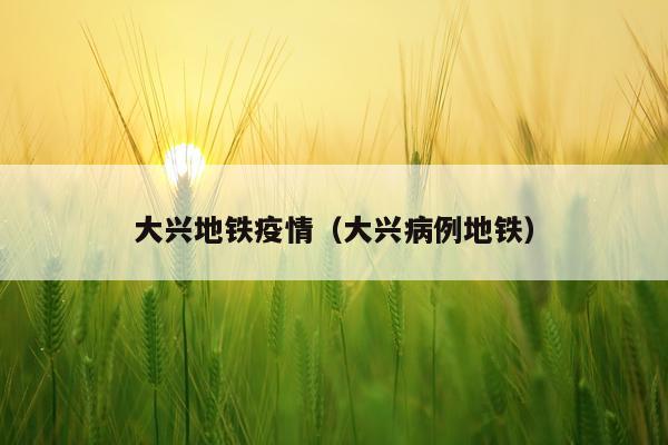 大兴地铁疫情（大兴病例地铁）