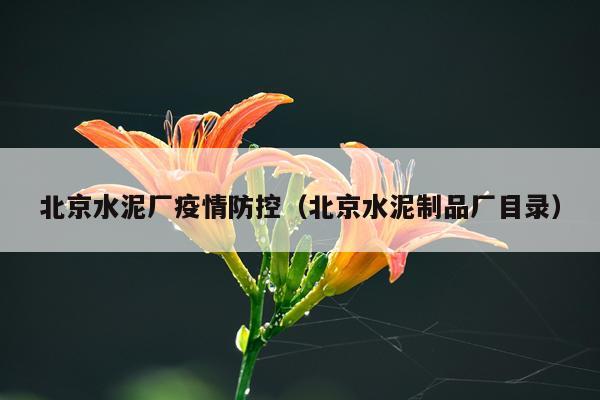 北京水泥厂疫情防控（北京水泥制品厂目录）