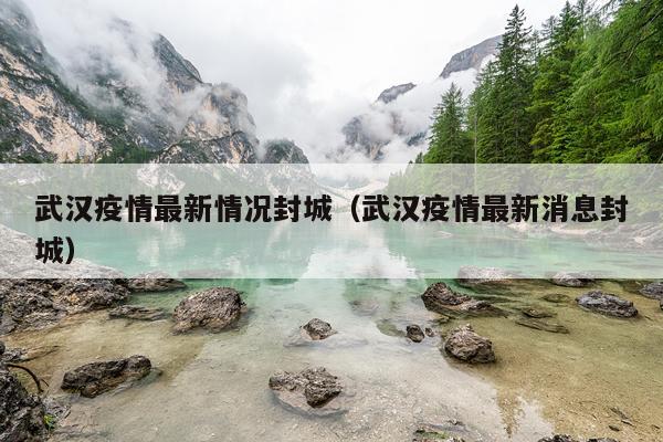 武汉疫情最新情况封城（武汉疫情最新消息封城）