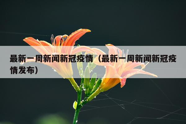 最新一周新闻新冠疫情（最新一周新闻新冠疫情发布）