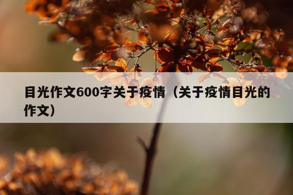 目光作文600字关于疫情（关于疫情目光的作文）